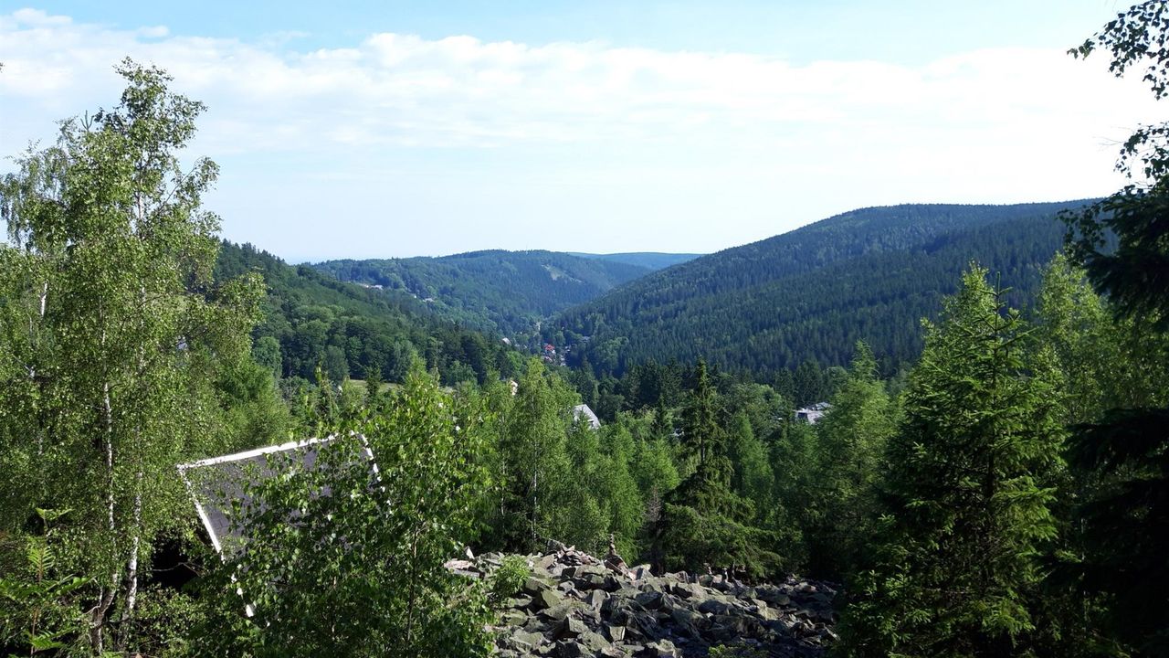 20210628_092427_resized 20210628_092427_resized